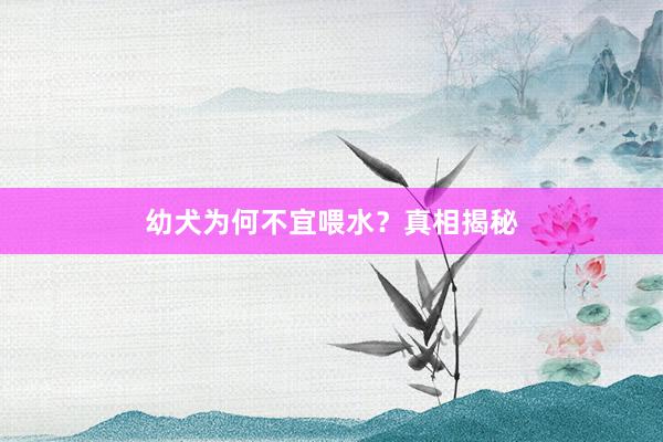 幼犬为何不宜喂水?真相揭秘